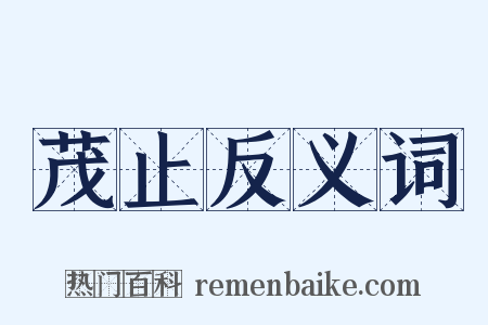 茂止反义词是什么意思的图片